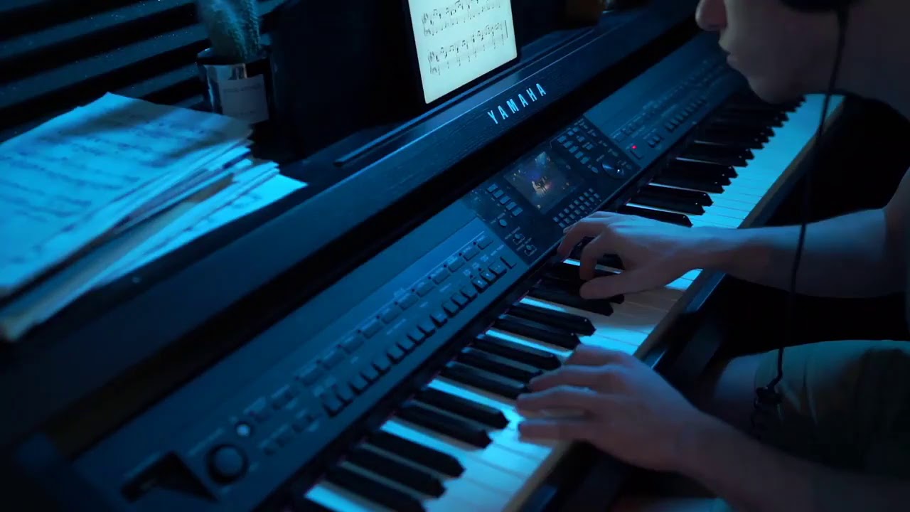 Minecraft Theme Piano Performed By Sardoche
