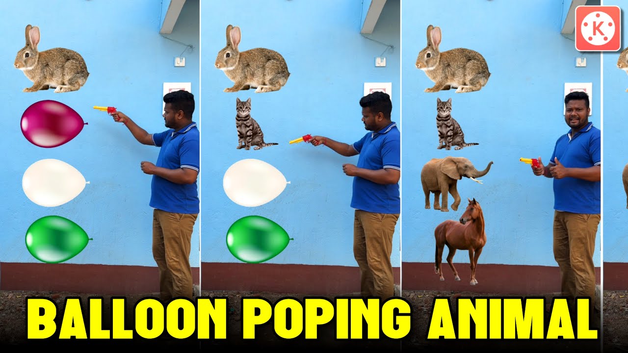 Balloon Poping Animal Video Editing || Kinemaster Video Editing