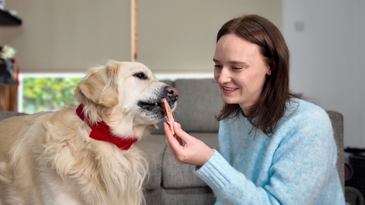 Dog Reacts to Cat Treats – Cutest Food Test Ever!