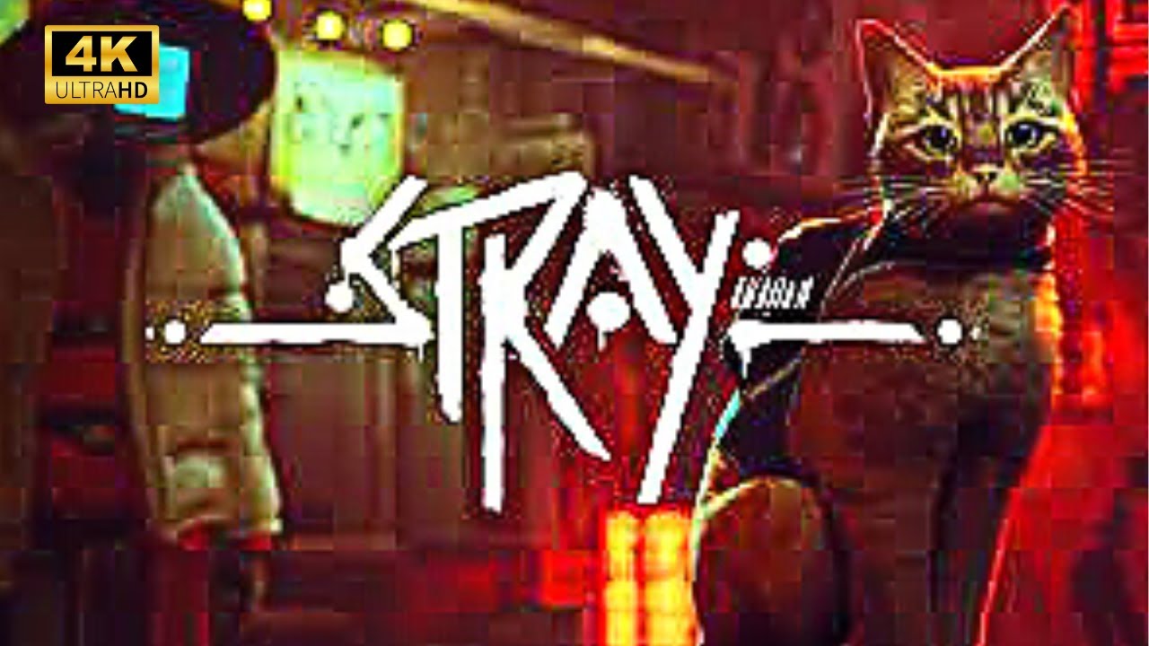 [4K60] Relaxing Cat Walk | Stray