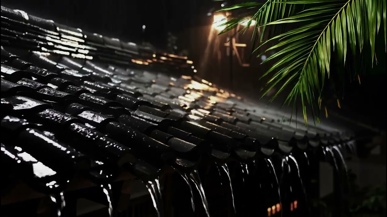 Gentle Night Rain on Roof 🌙 Warm Tropical Rain Sounds