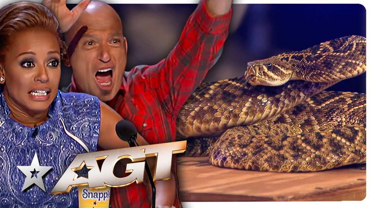 ШОКИРУЮЩЕЕ прослушивание на роль змеи на шоу «America's Got Talent» ужаснуло судей!