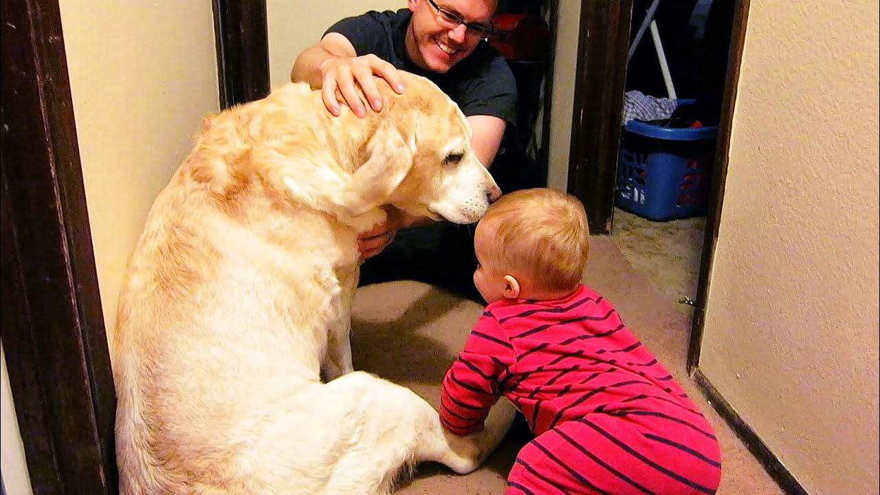 BABY LOVES DOG!!