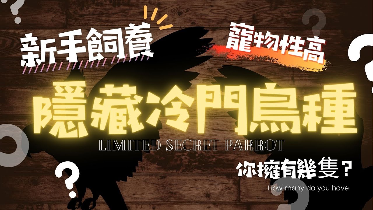 【屈原之天下鳥事】【新手飼養】隱藏冷門鳥種，鳥友限量版?! Hide unpopular bird species,Bird Friends Limited Edition