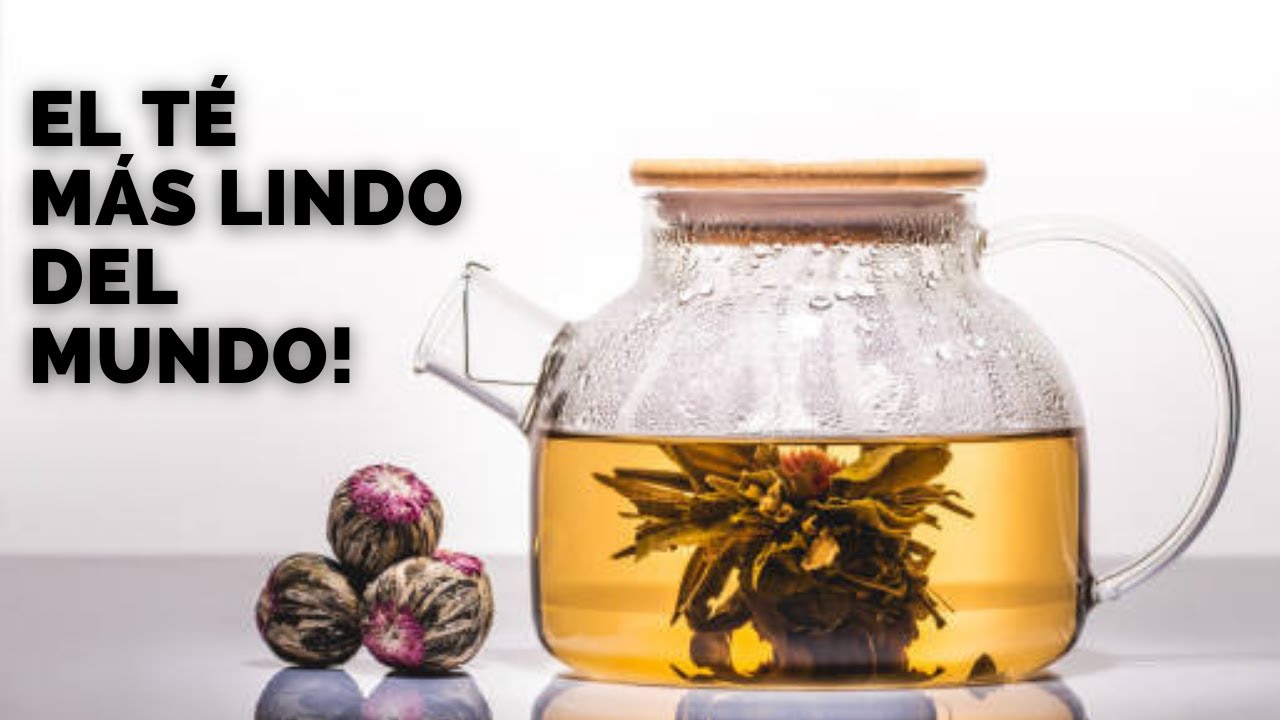 C&oacute;mo preparar flower tea y otros t&eacute;s comprimidos (how to brew blooming teas)
