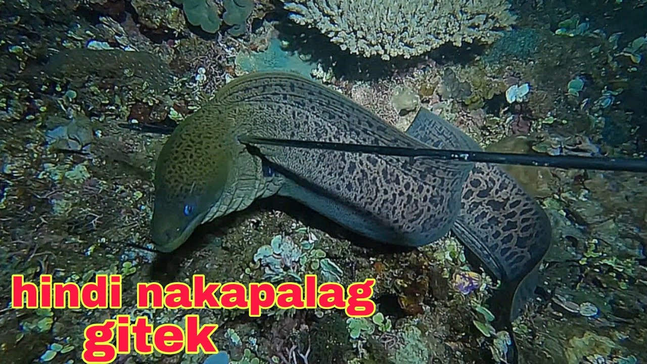 ep603 dive1 ahas dagat hindi Naka palag gitek