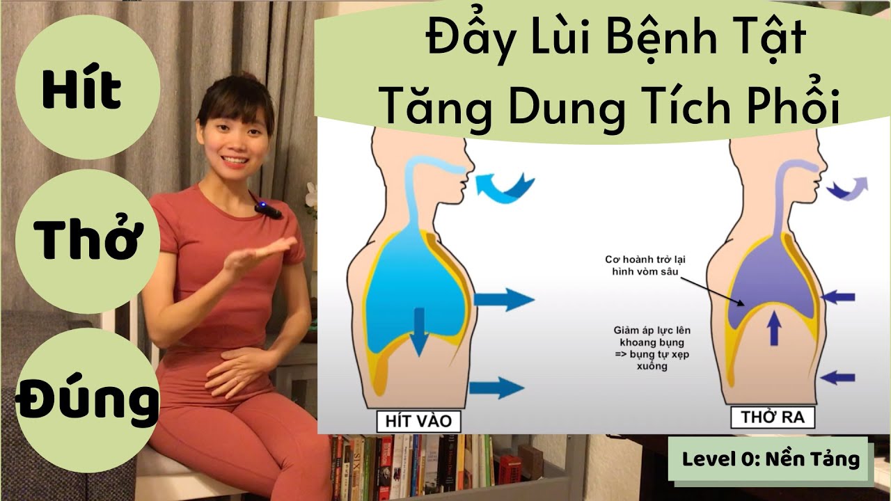 Hít Thở Đúng Cách - Thở Bằng Cơ Hoành | Yoga Cho Người Mới Bắt Đầu - HolaYoga.vn