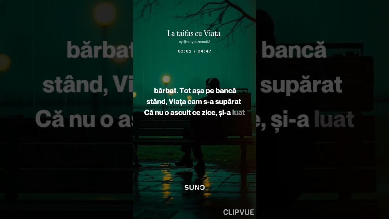 La taifas cu Viața.  NatyCozmac lyrics.  AImusic 