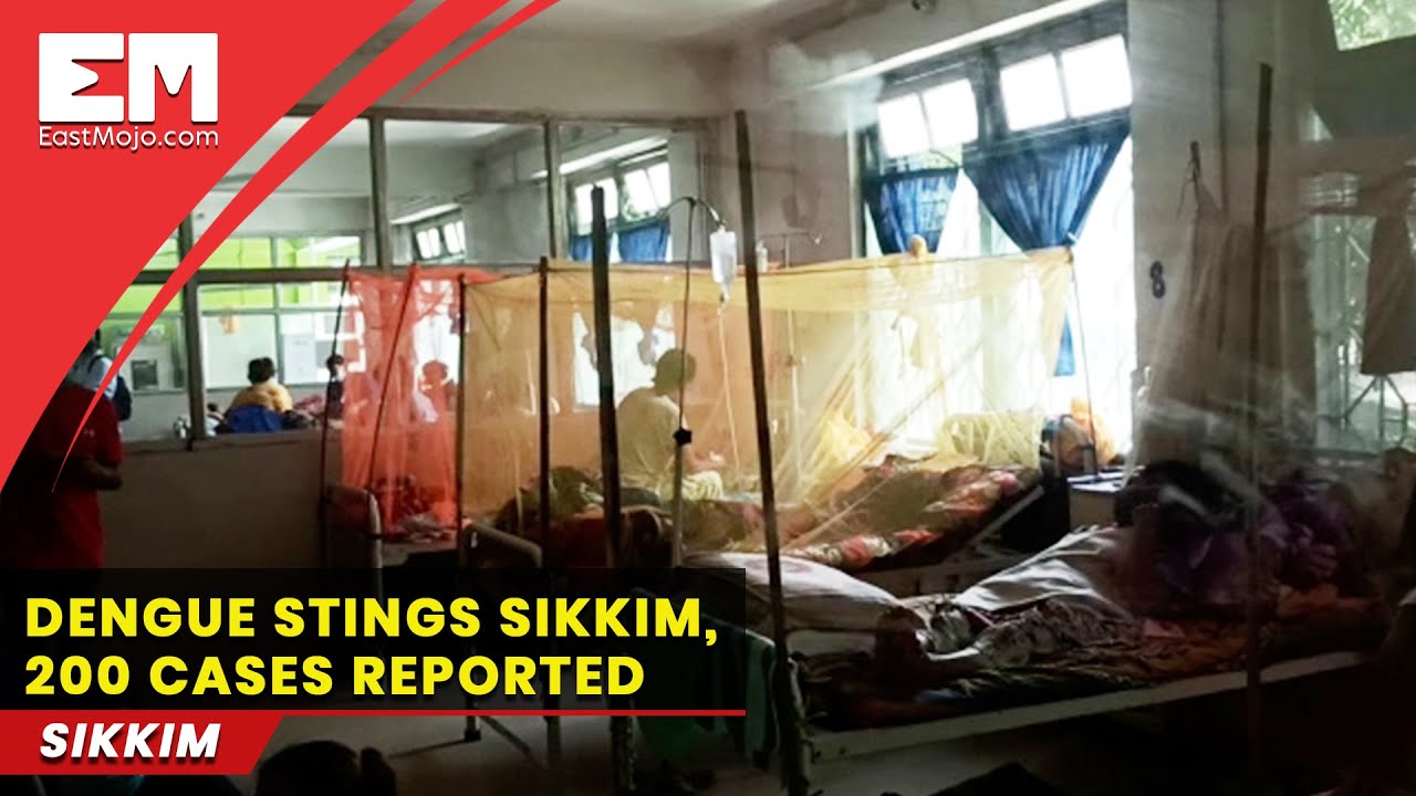 What explains over 200 dengue cases in Sikkim?