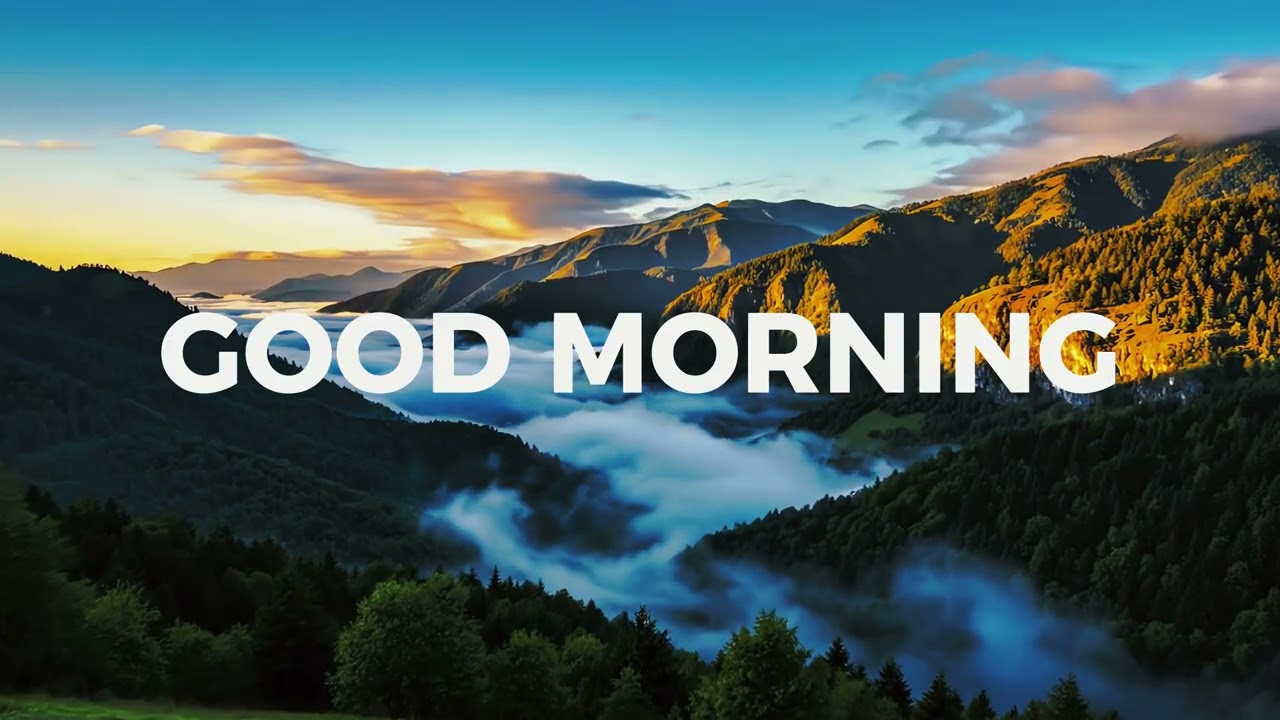 Fresh Morning Music🌞 | Soft Chillout & Balanced Tropical House