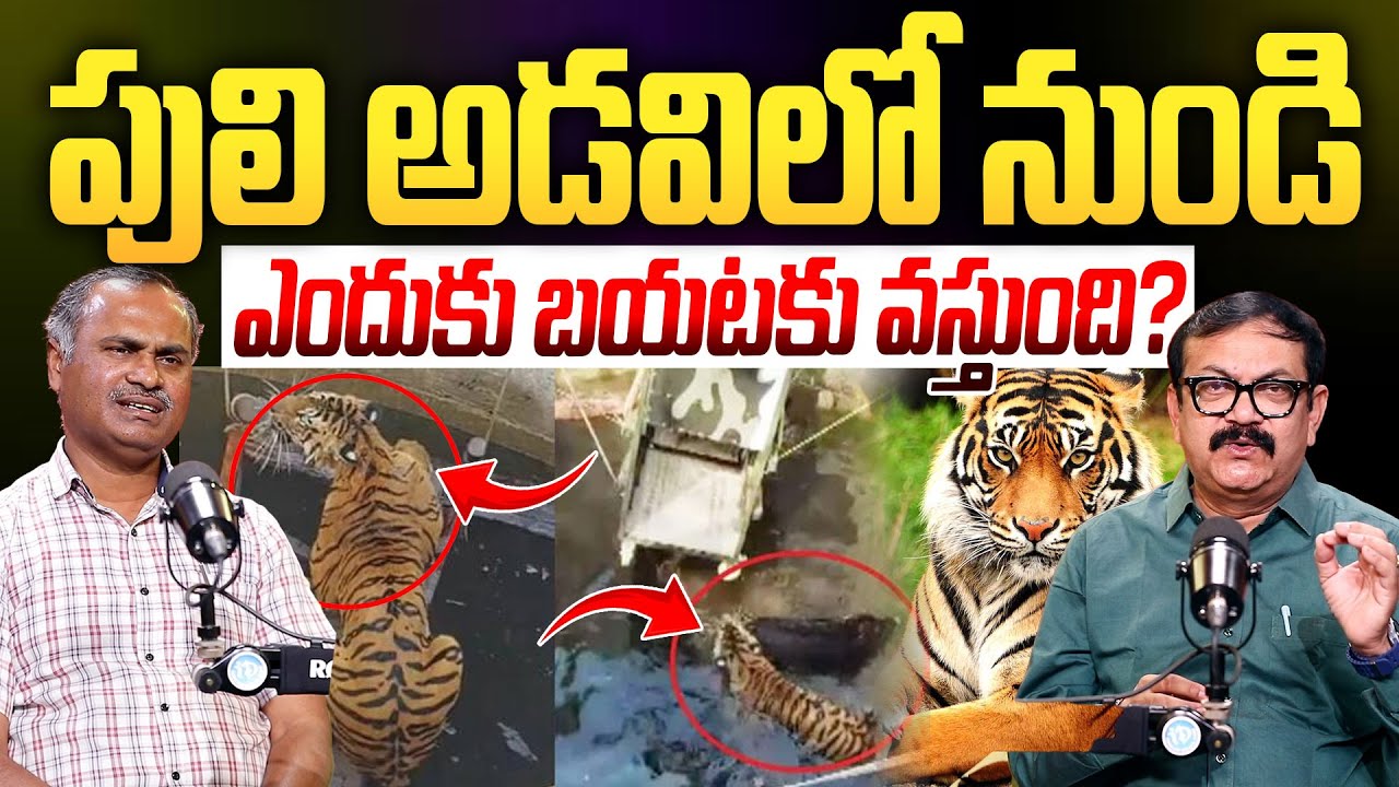 Ram Mohan,FDO, Jannaram, Mancherial Dist, Kawal Tiger Reserve | Crime Diaries With Muralidhar #651