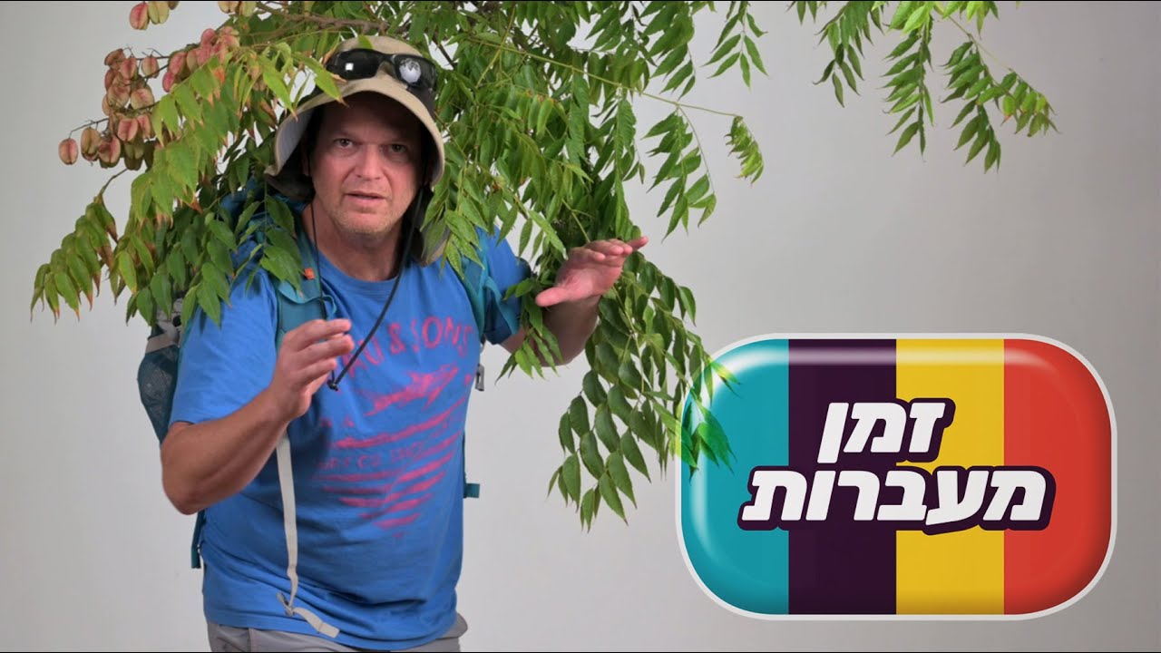זמן מעברות - מגזין קהילתי מצולם