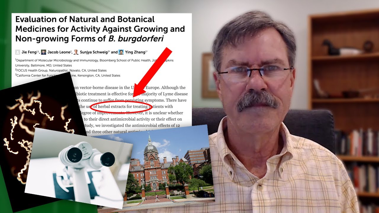 New Johns Hopkins Study: 7 Herbs Can Kill Lyme Bacteria