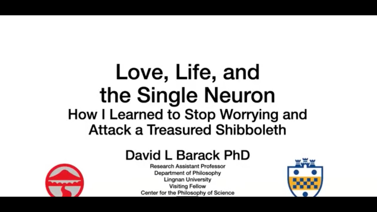 Lunchtime Talk - David Barack 11/11/25