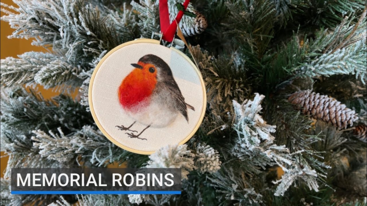 Leitrim robins wing their way around the world