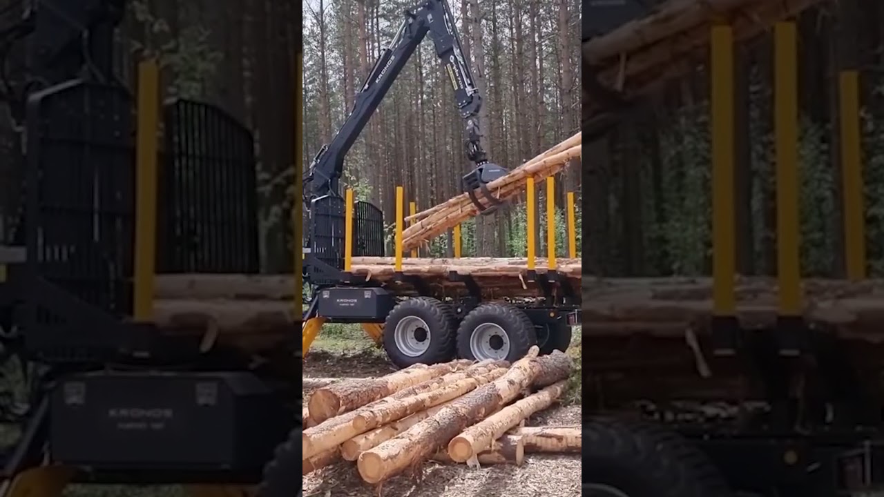 An award-winning crane for a reason 😍🌳