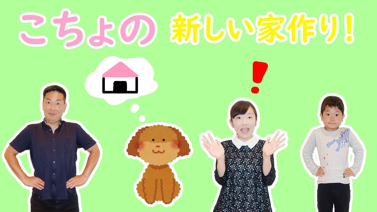 ★こちょの新しい家作り！～こちょ大喜びでテンションＭＡＸ♡～★