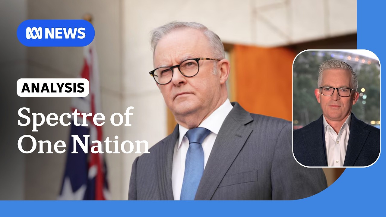 Labor's cost-of-living focus aims to blunt One Nation's populist message: Speers | ABC NEWS