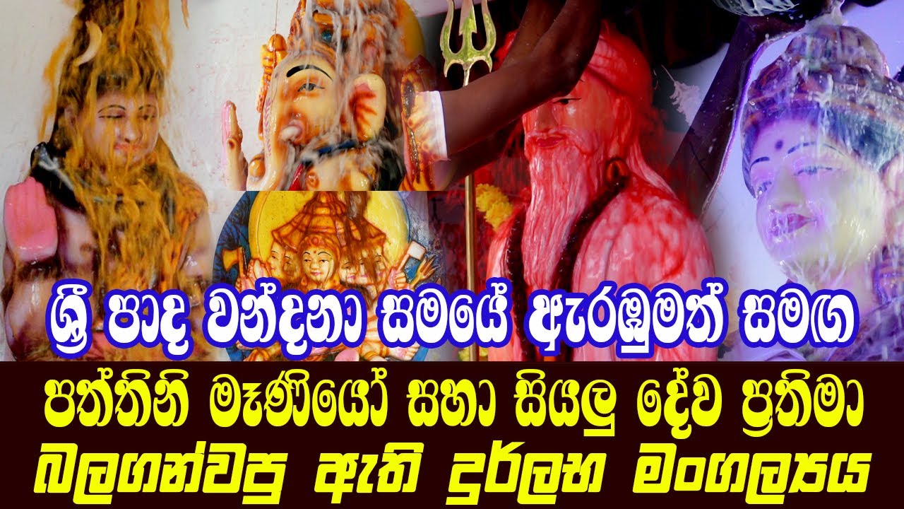 ශ්‍රී පාද වන්දනා සමයේ ඇරඹුමත් සමඟ පත්තිනි මෑණියෝ සහා සියලු දේව ප්‍රතිමා බලගන්වපු ඇති දුර්ලභ මංගල්‍යය