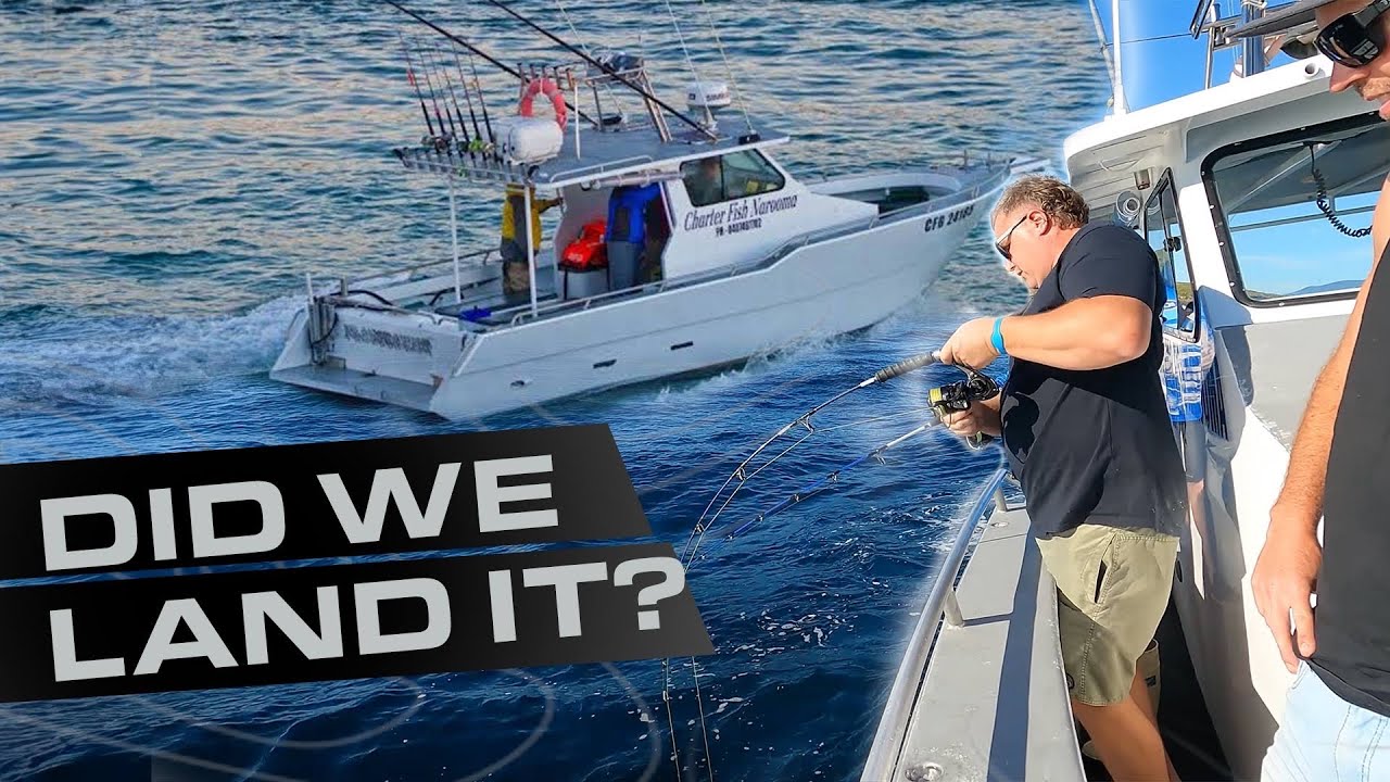 Narooma Fishing Doesn't Disappoint! | 2023 Christmas Getaway!