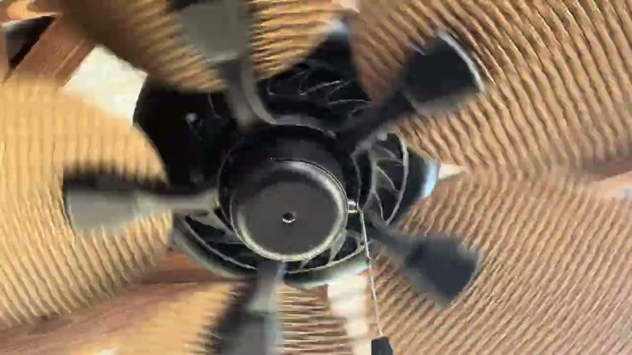 Wobbly Honeywell palm island ceiling fan
