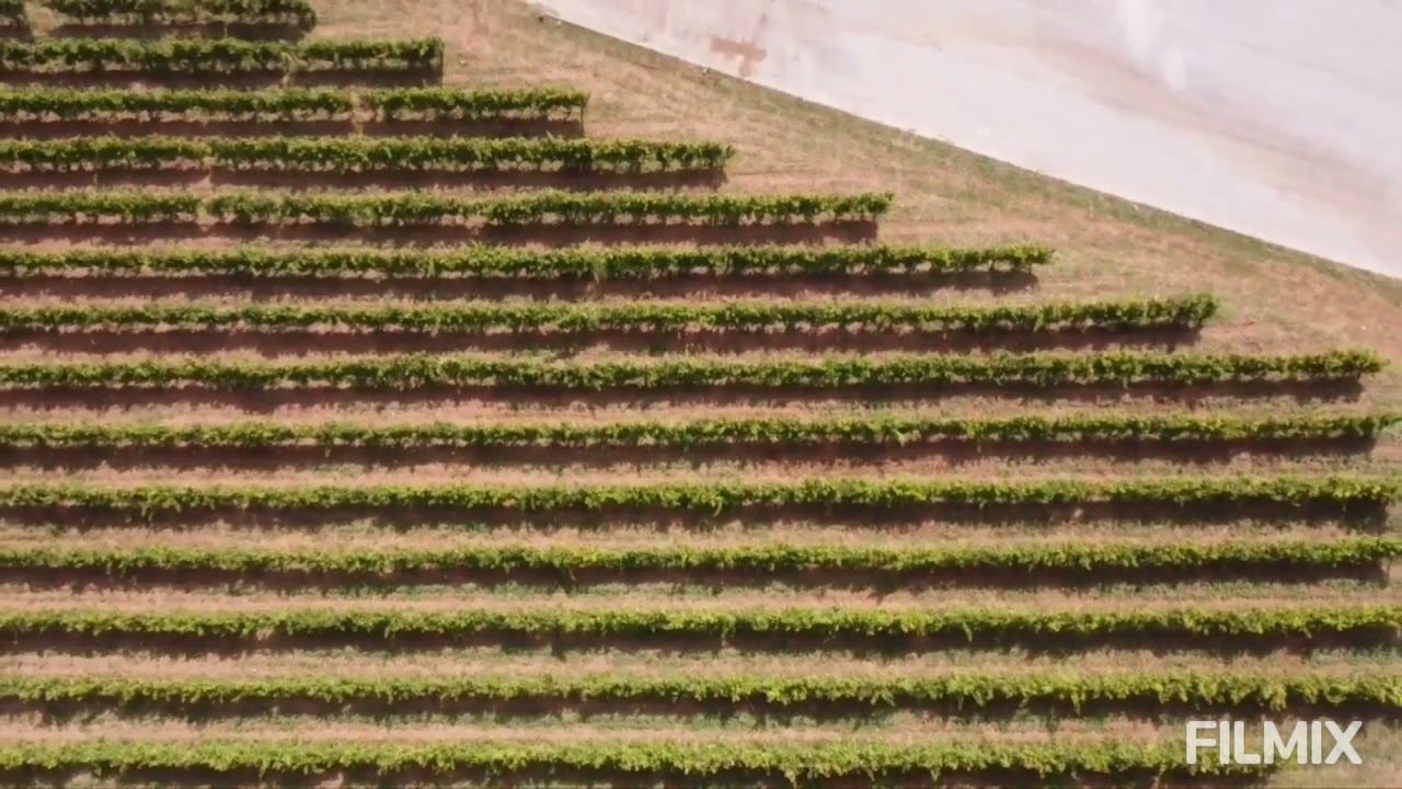 Cantina Terra dei Re