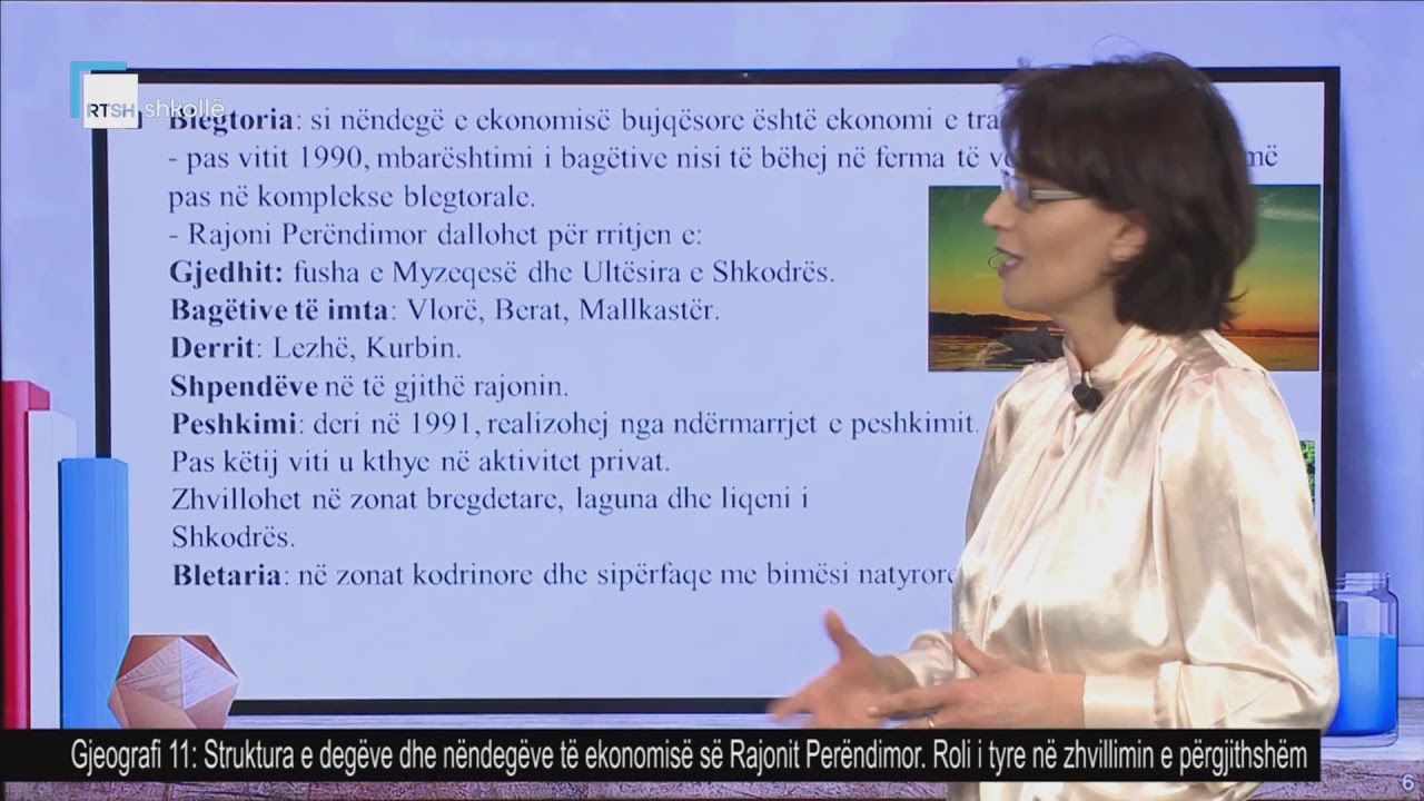 Gjeografi 11 - Struktura e degëve dhe nëndegëve të ekonomisë së Rajonit Perëndimor. Roli i tyre.