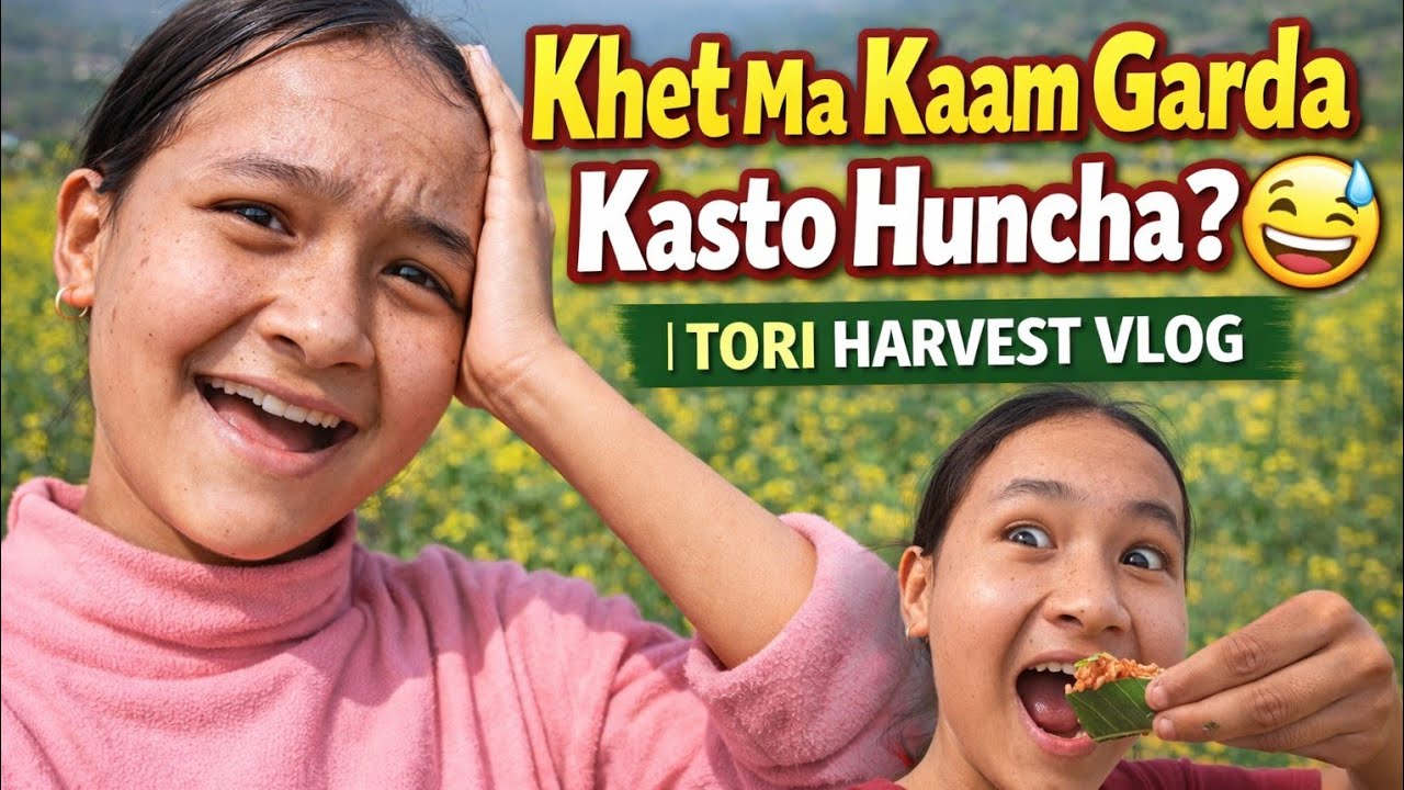 Khet Ma Kaam Garda Kasto Huncha? 😅 | Tori Harvest Vlog 