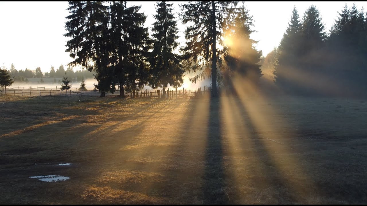 DJI Mini 2 - Fenyők&uacute;t & P&aacute;lpataka