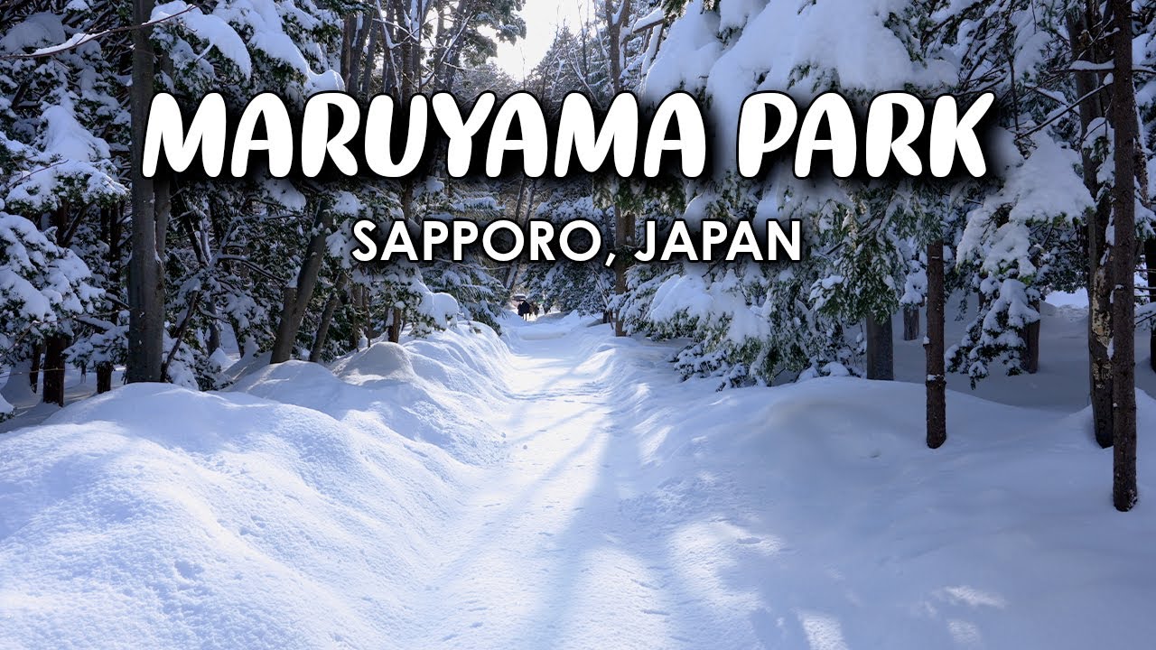 Snow Day in Sapporo's Park | Hokkaido, Japan | 4K Walk