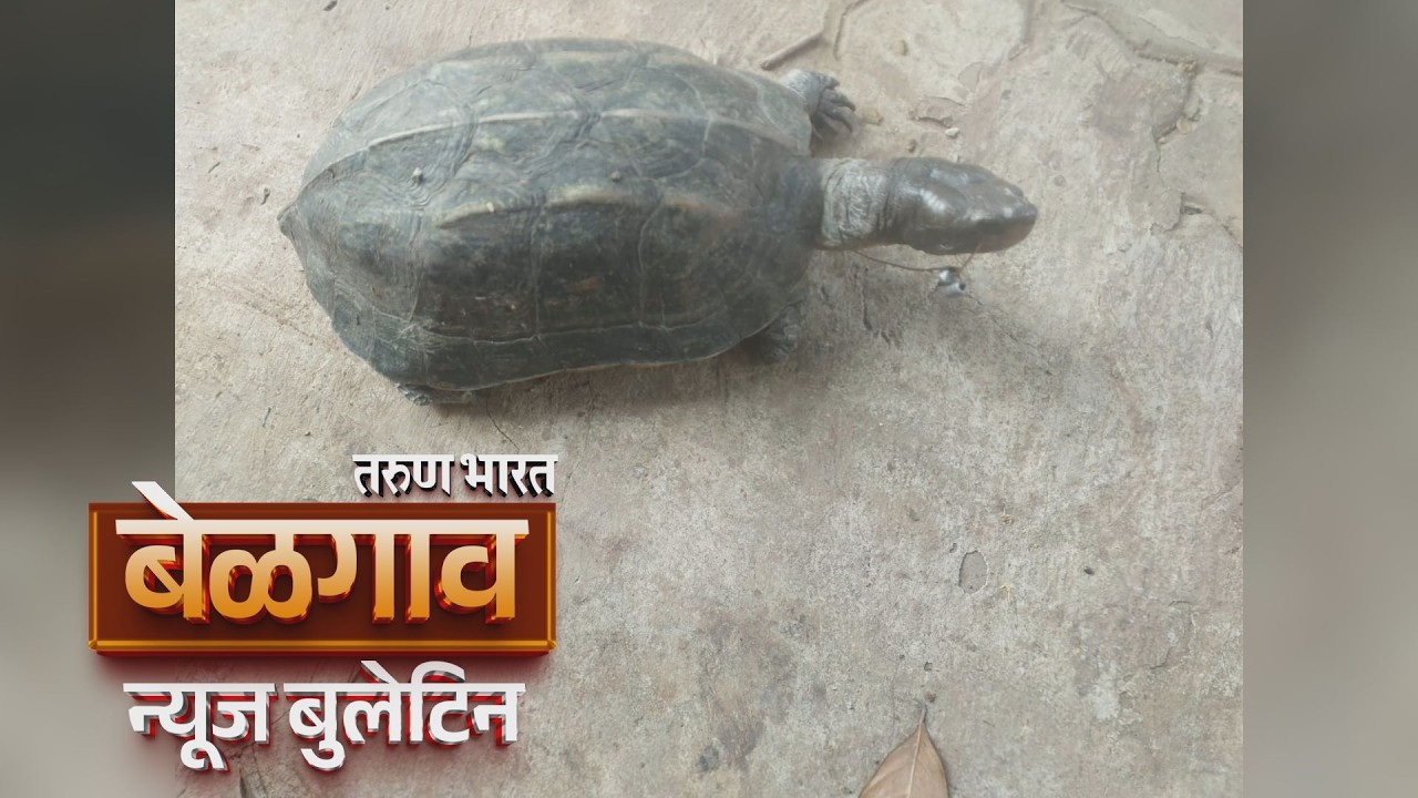 बेळगाव न्यूज बुलेटिन | Belgaum News Bulletin | 07-02-2026