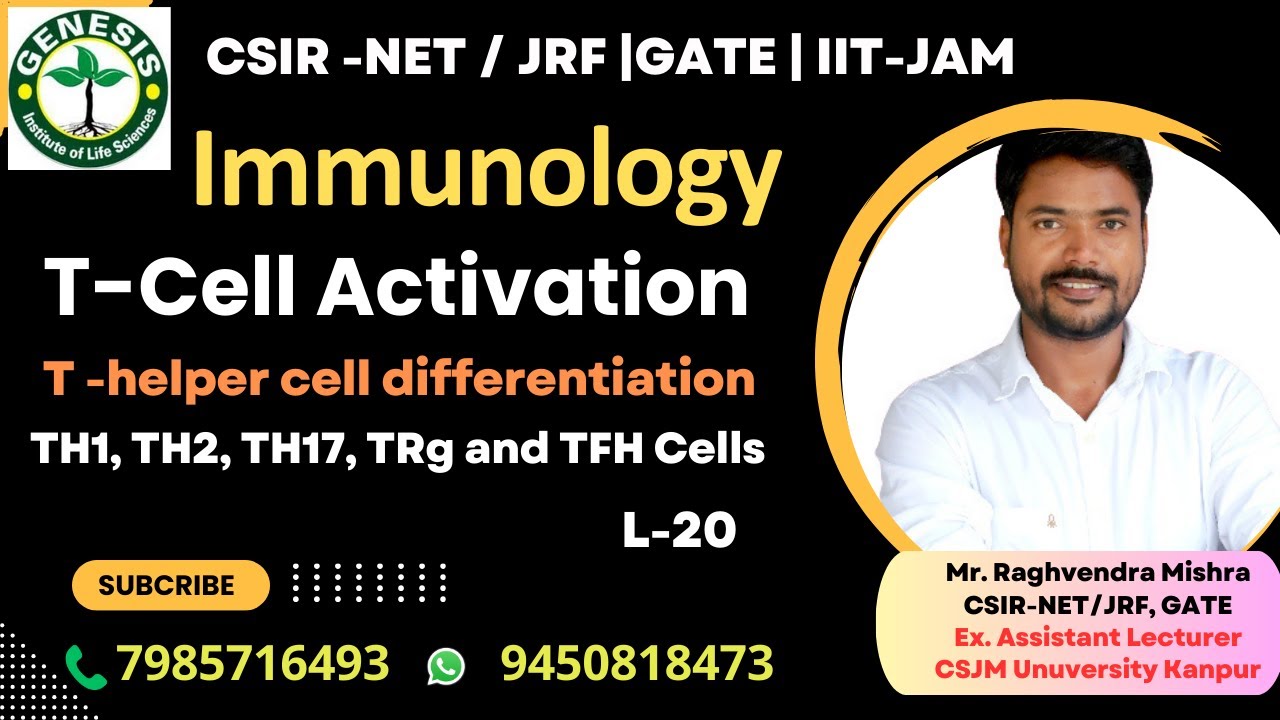 T-cell Activation | Differentiation of T-helper Cells | Immunology#genesis_institute