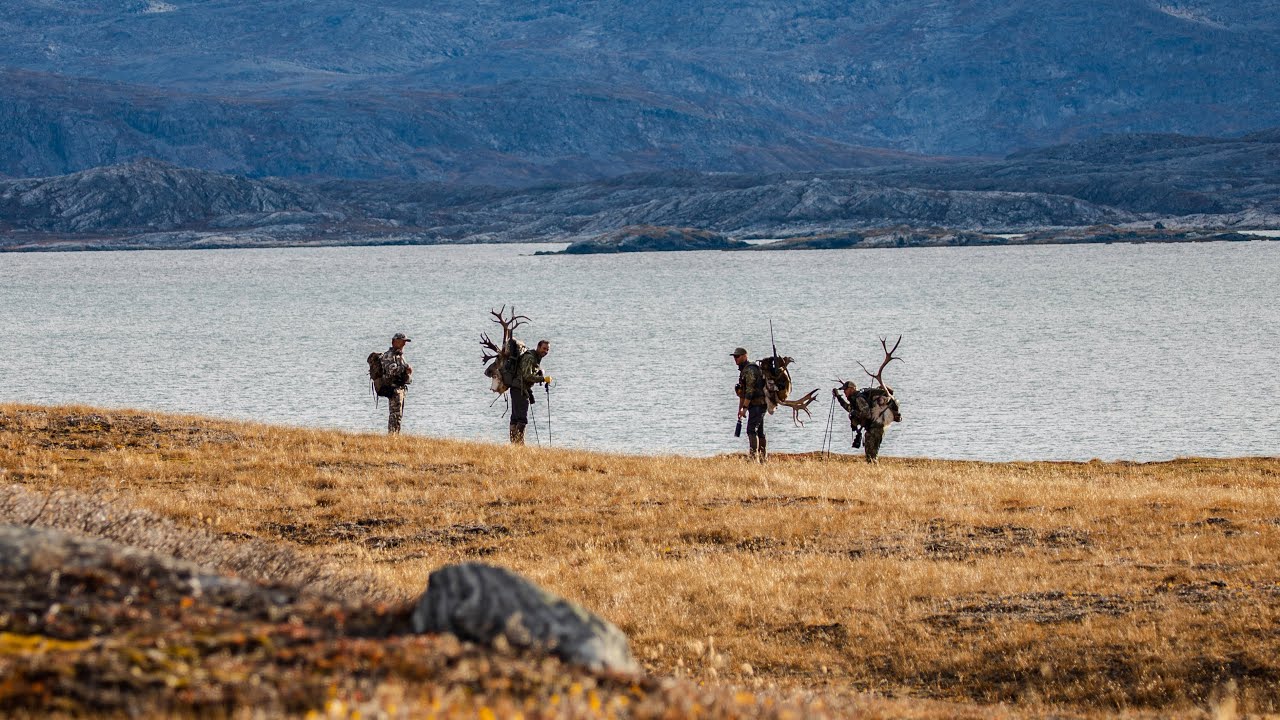 71° North - A Greenland Hunting Adventure