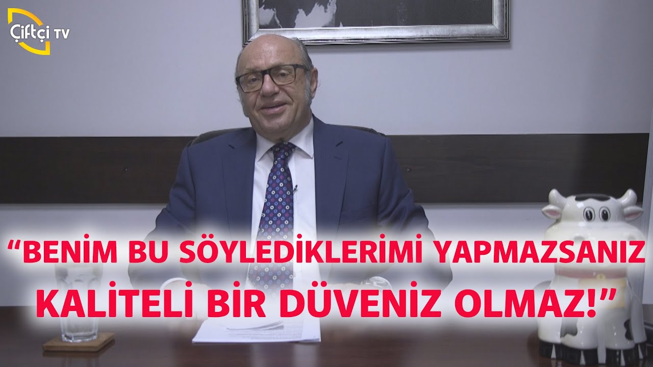 Kaliteli Bir Düve İçin Yapılması Gerekenler! (Mastitis, Nokra, Pika...) - Dersimiz Hayvancılık
