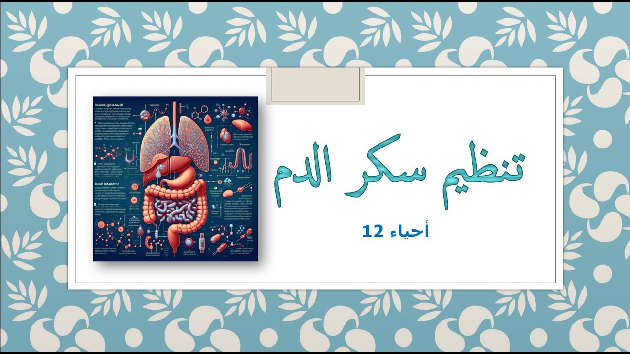 6.1 أحياء 12 علمي  | تنظيم سكر الدم Regulation of blood glucose
