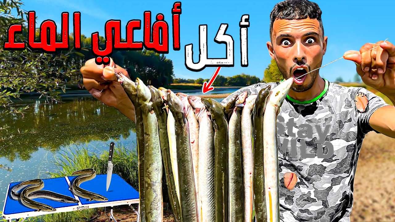 العيش الحر:تحدي صيد أندر سمك وتخيم 24ساعة في الوادي الصيد وطبخ