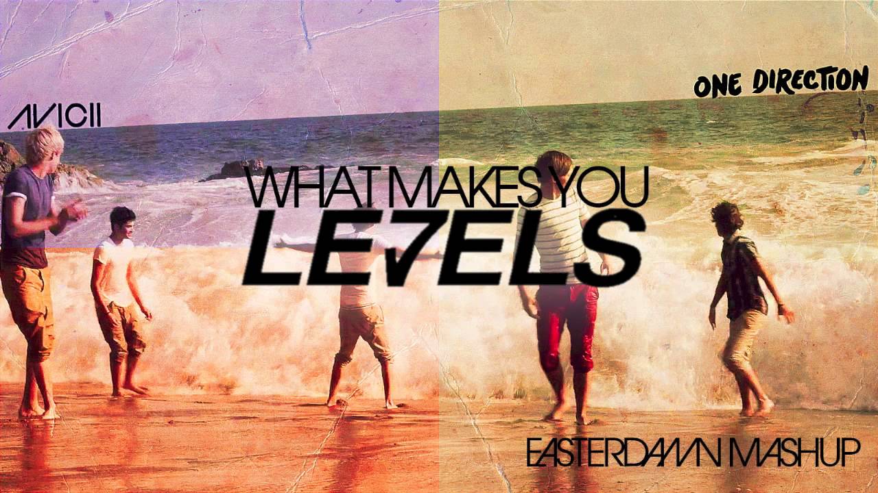 Avicii Vs. One Direction - What Makes You Levels (Easterdamn Mashup)