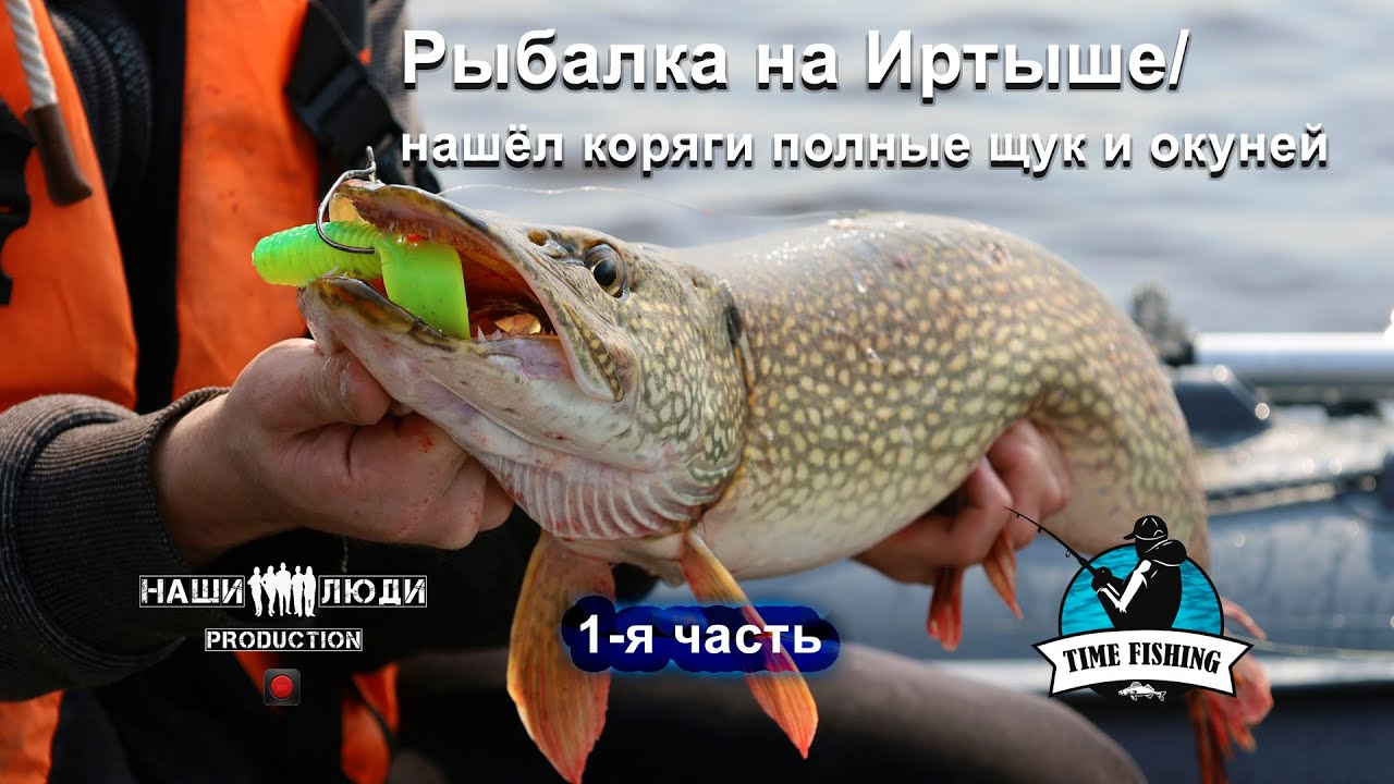 Рыбалка на Иртыше 2022/нашёл коряги полные щук и окуней