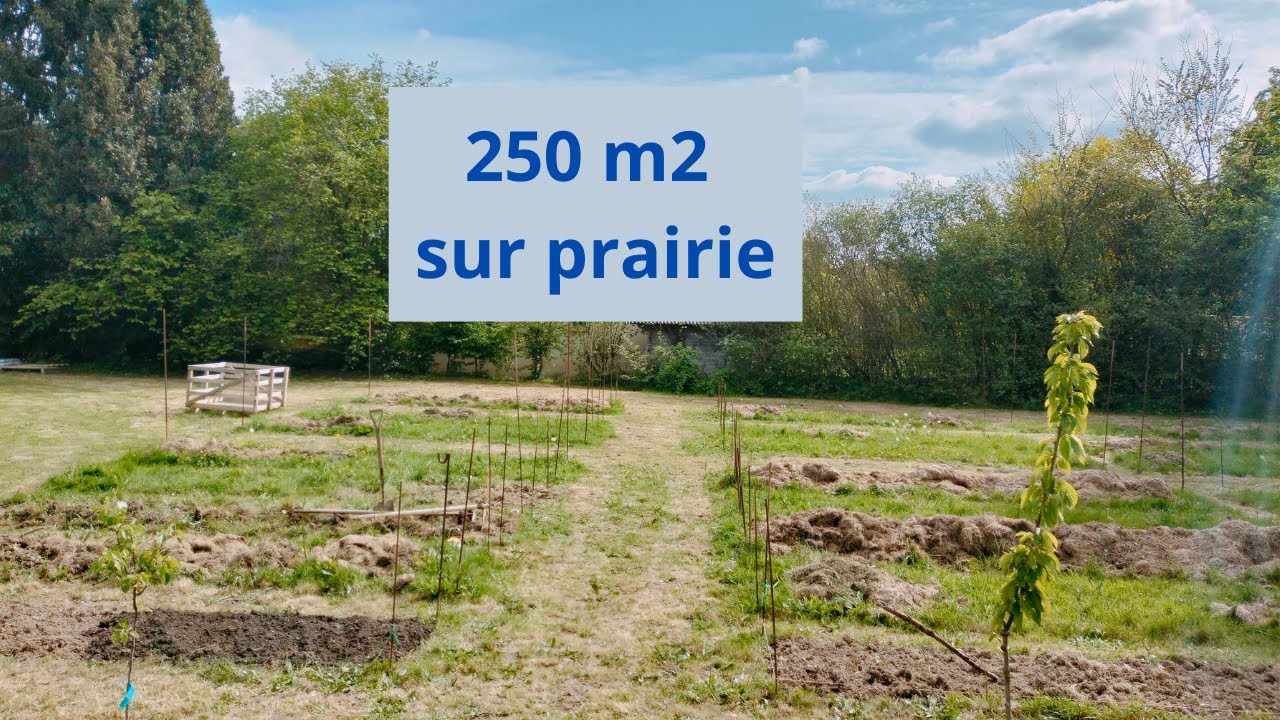 DÉMARRER un POTAGER de 250M2 sur une PRAIRIE