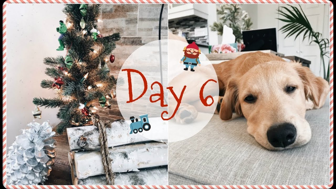 VLOGMAS DAY 6 // Our Puppy Is Growing Up!