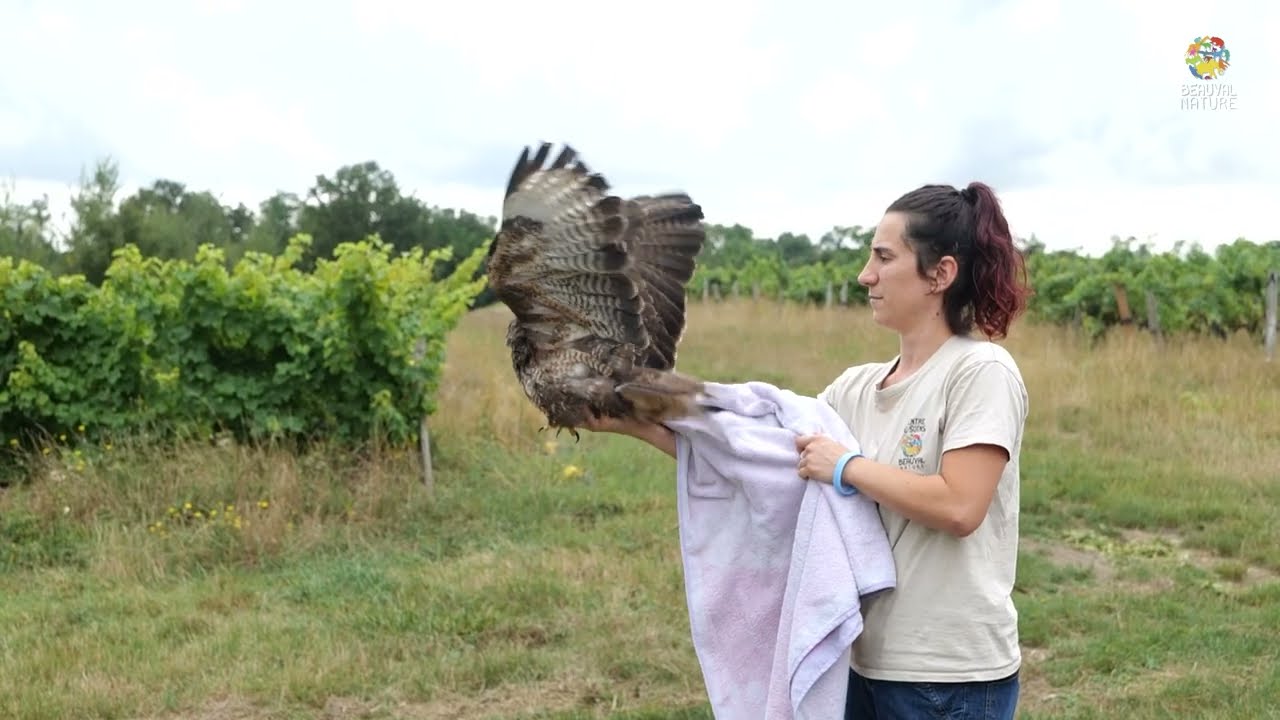Une journée au cœur du Centre de Soins Beauval Nature