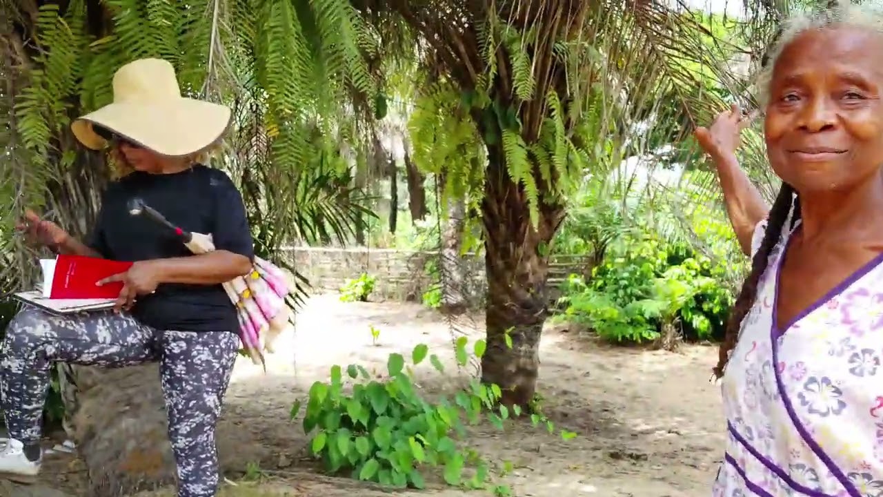 Она живет своей мечтой. Усадьба в Ройсвилле. Все мечты сбываются. ##africa #beach