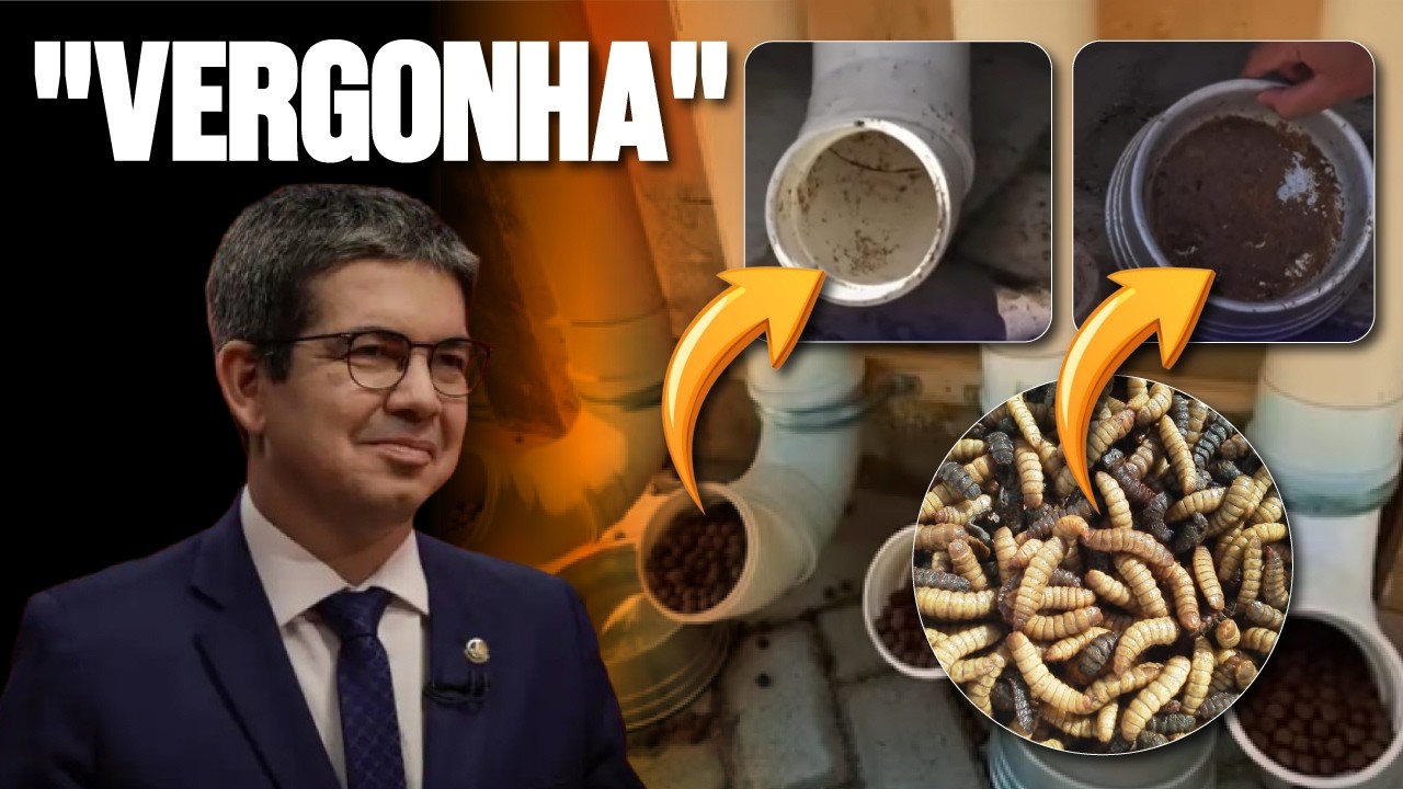 VIRALIZOU: COMEDOURO DE PVC DE RANDOLFE RODRIGUES VIRA CRIADOURO DE LARVAS