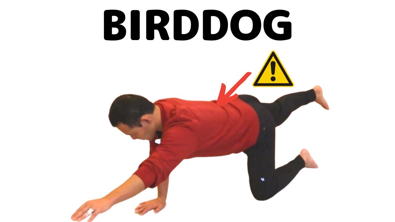BIRD DOG: Without hurting your back