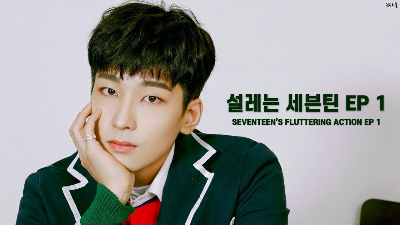 (ENG SUB) [세븐틴/원우] 원우님 때문에 설렌다 || Wonwoo's actions that will make your heart flutter