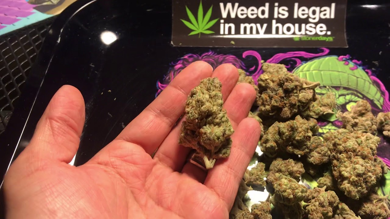 ZOOKIES weed strain
