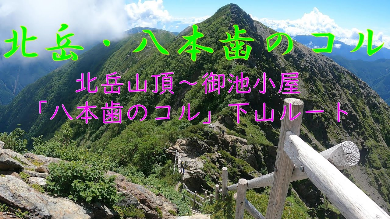 【北岳・八本歯のコル】北岳から「八本歯のコル」を経由した下山道。山頂から二俣分岐までの下山道程をご紹介します。２０２５年７月２１日の記録です。