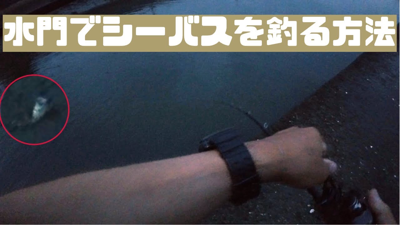 【釣行】水が無い小場所どう釣る？ノーカットで見せます【シーバス】【ガボッツ150】