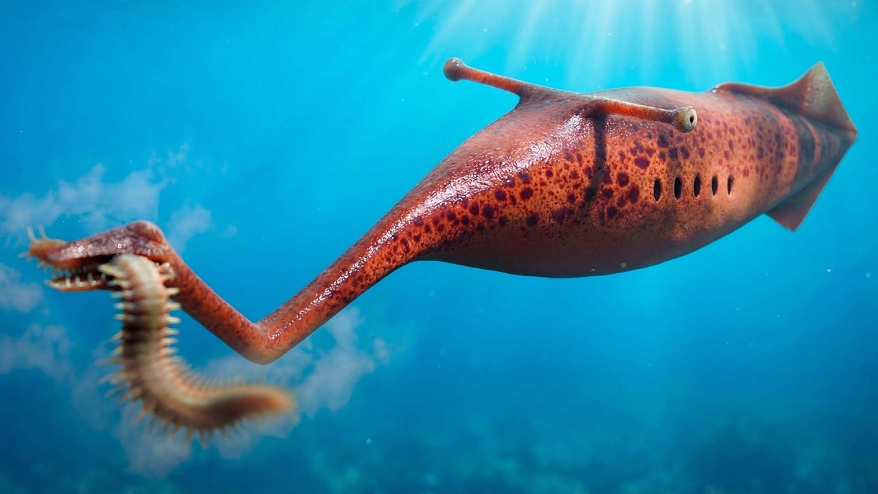 What Exactly is the Tully Monster? The Answer After 300 Million Years | Prehistoric Documentary