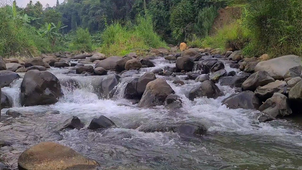 Ambient River Stream | For Meditation, Focus, and Peaceful Sleep
